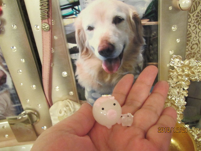 ファイル 2139-4.jpg