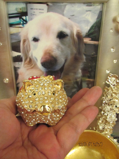 ファイル 2139-5.jpg