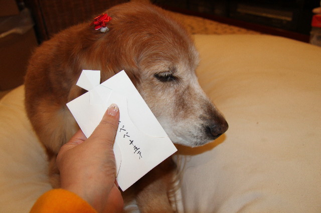 ファイル 2144-1.jpg