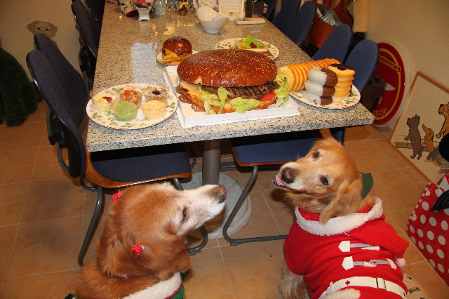 ファイル 2146-1.jpg