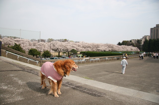 ファイル 215-5.jpg