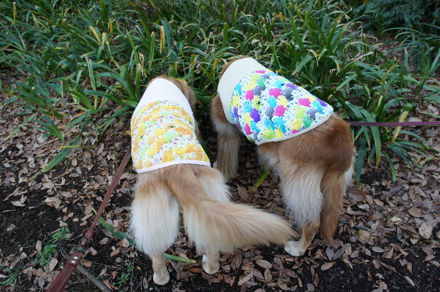 ファイル 2150-1.jpg