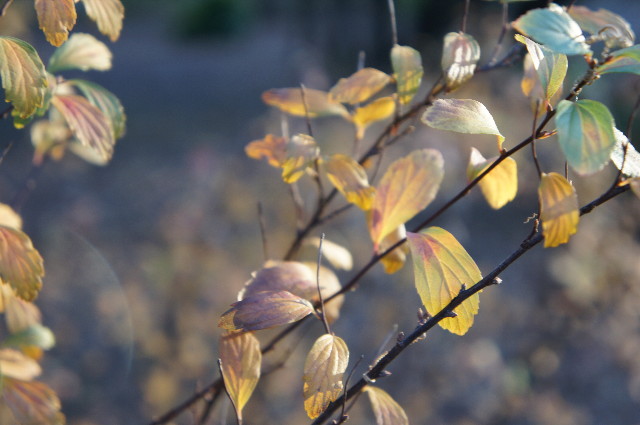 ファイル 2150-2.jpg