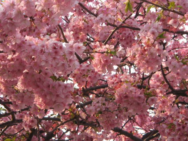 ファイル 216-4.jpg