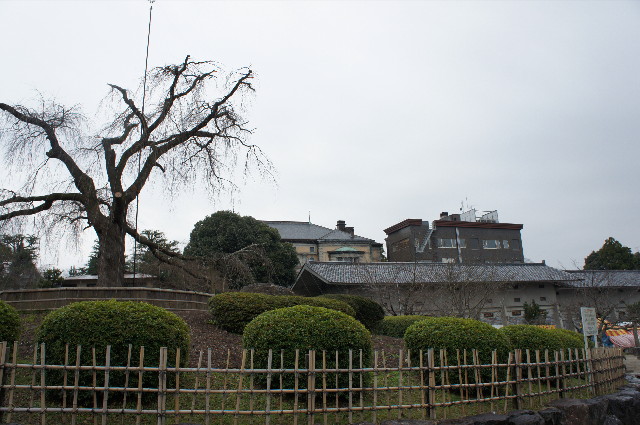 ファイル 2163-1.jpg