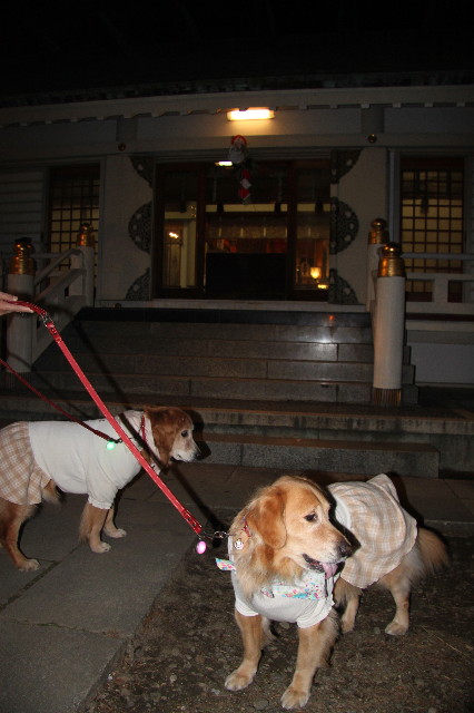 ファイル 2170-2.jpg