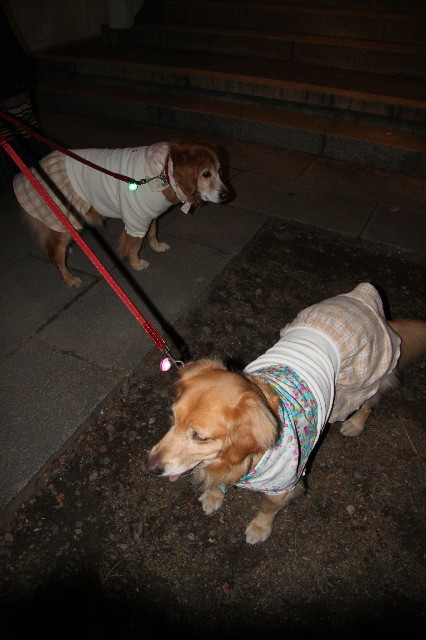 ファイル 2170-3.jpg