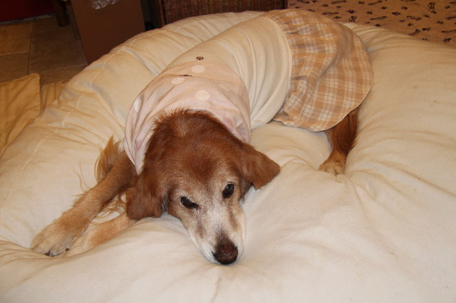 ファイル 2170-4.jpg