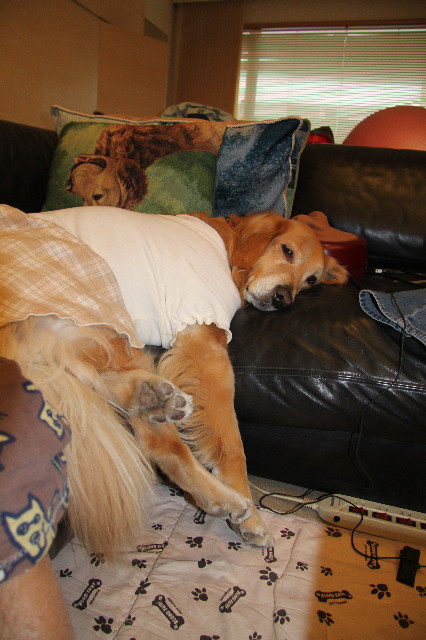 ファイル 2170-5.jpg