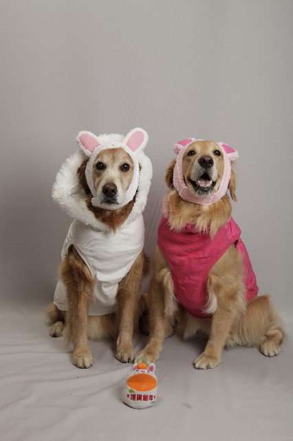 ファイル 2171-1.jpg