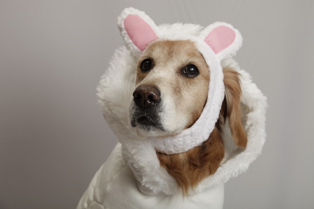 ファイル 2171-2.jpg