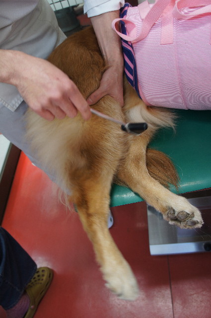 ファイル 2174-2.jpg