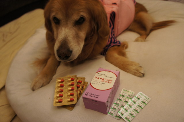 ファイル 2175-3.jpg