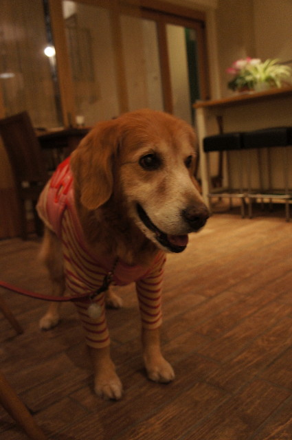 ファイル 2176-5.jpg