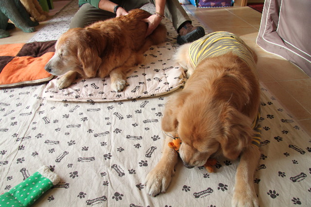 ファイル 2177-2.jpg