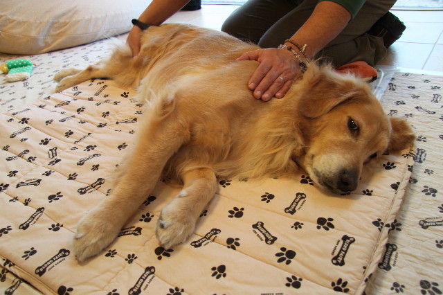 ファイル 2177-3.jpg