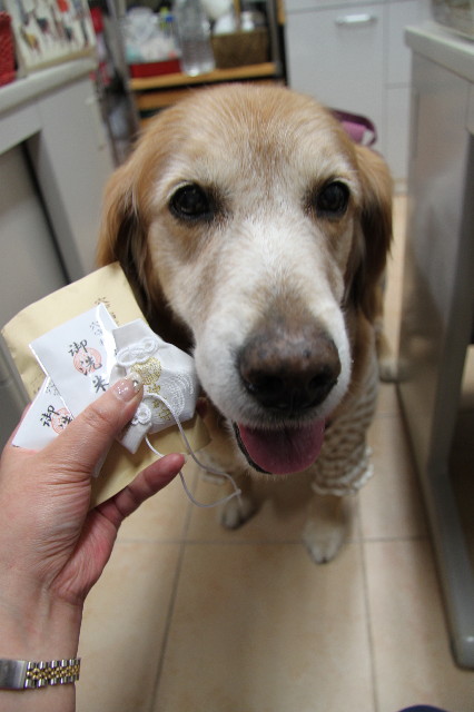 ファイル 2177-4.jpg