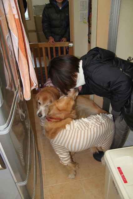 ファイル 2179-2.jpg