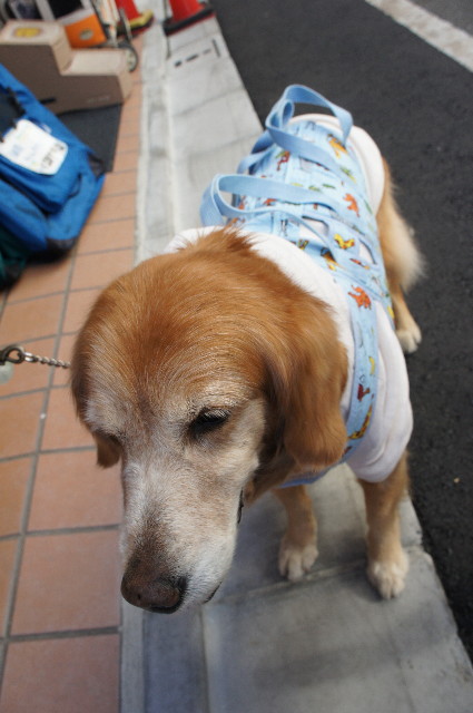 ファイル 2180-3.jpg