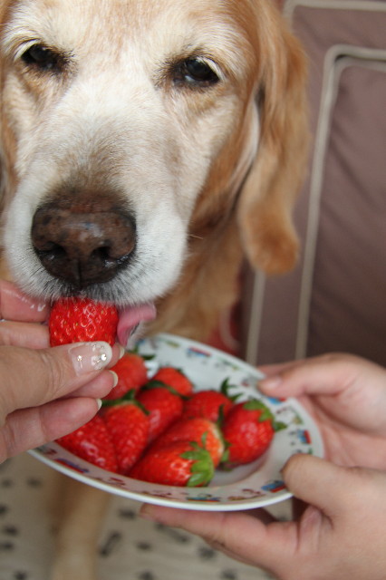 ファイル 2180-4.jpg