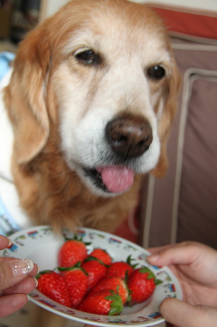 ファイル 2180-5.jpg