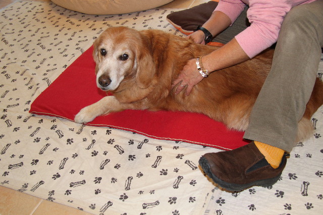 ファイル 2182-1.jpg