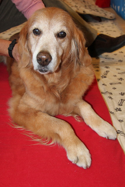 ファイル 2182-2.jpg