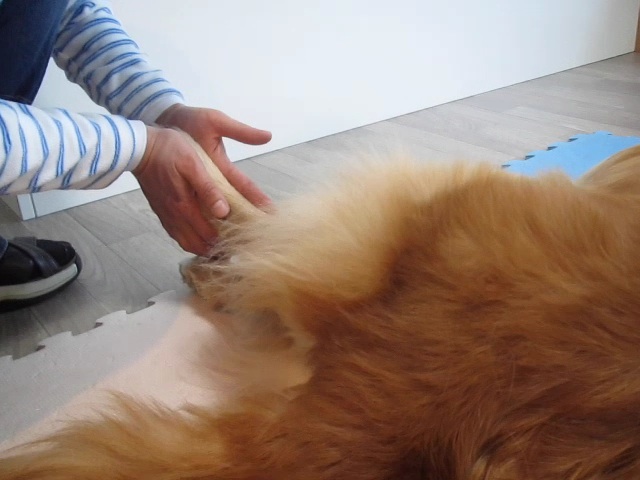 ファイル 2184-1.jpg