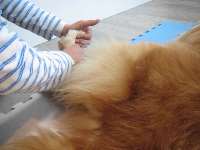 ファイル 2184-2.jpg