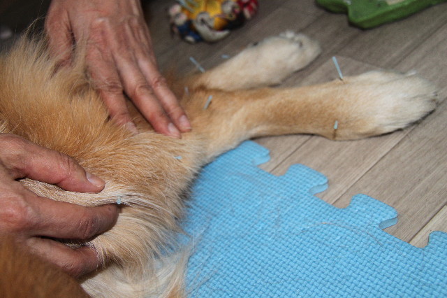 ファイル 2184-3.jpg