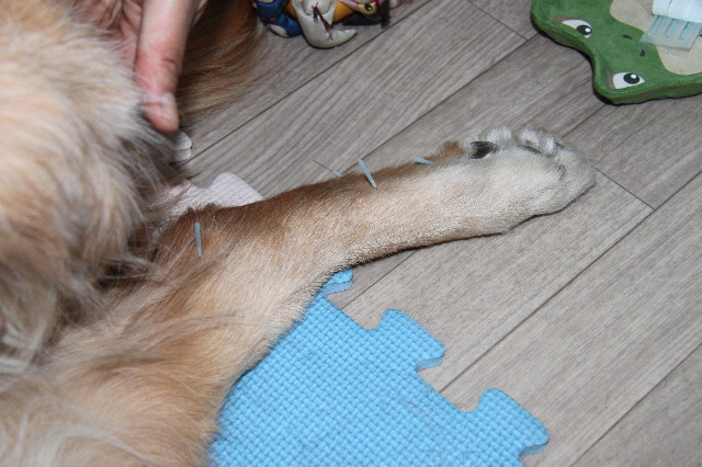 ファイル 2184-4.jpg