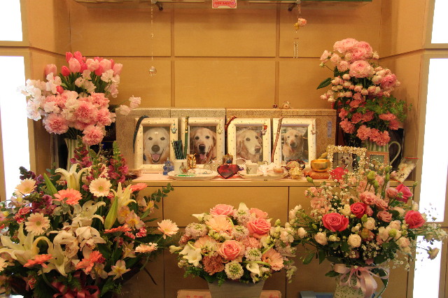 ファイル 2185-1.jpg