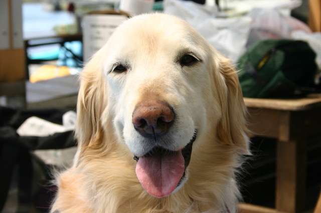 ファイル 2185-2.jpg