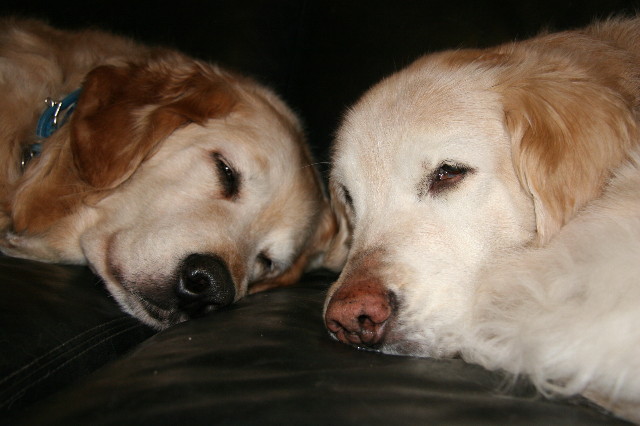 ファイル 2185-3.jpg