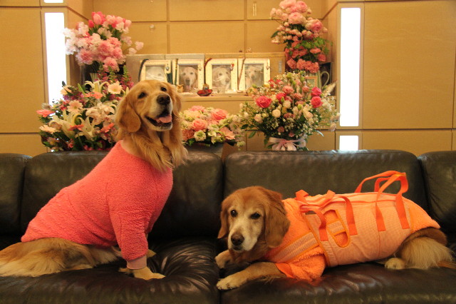 ファイル 2185-4.jpg