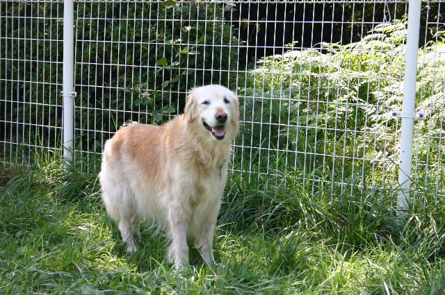 ファイル 2185-5.jpg