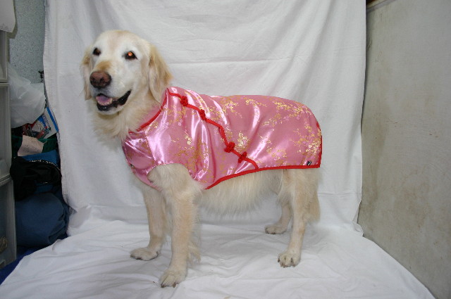 ファイル 2186-2.jpg