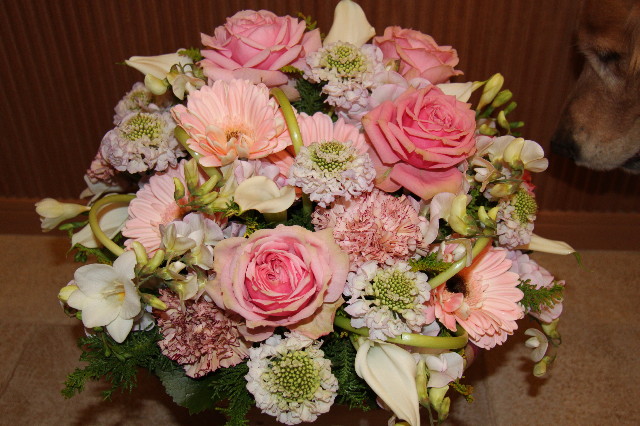 ファイル 2186-5.jpg