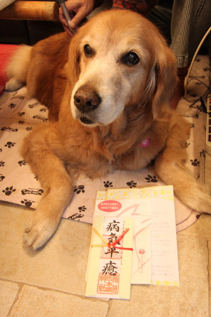 ファイル 2187-2.jpg