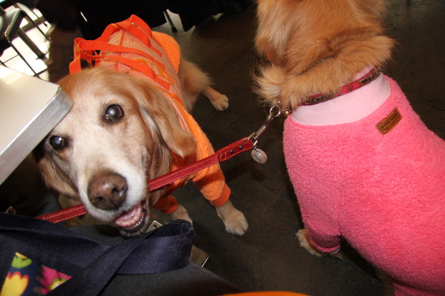 ファイル 2187-4.jpg