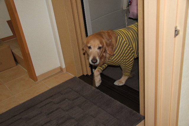 ファイル 2187-5.jpg