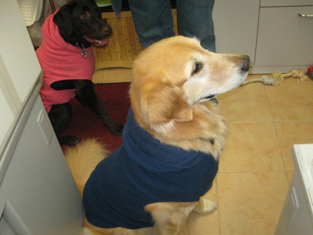 ファイル 219-1.jpg