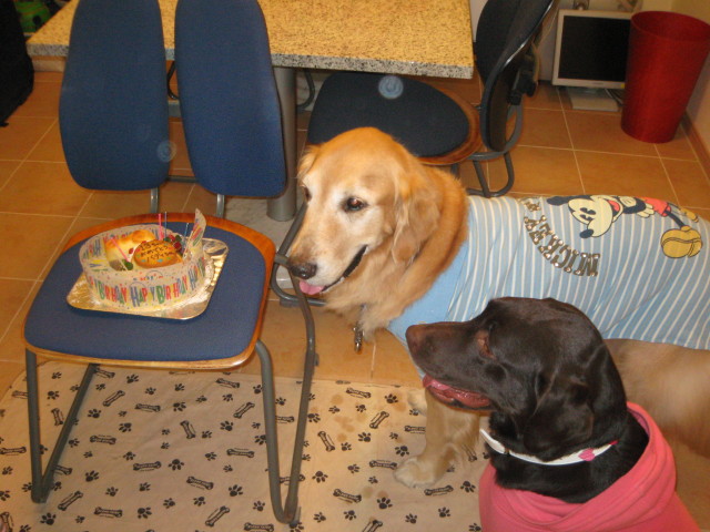 ファイル 219-3.jpg