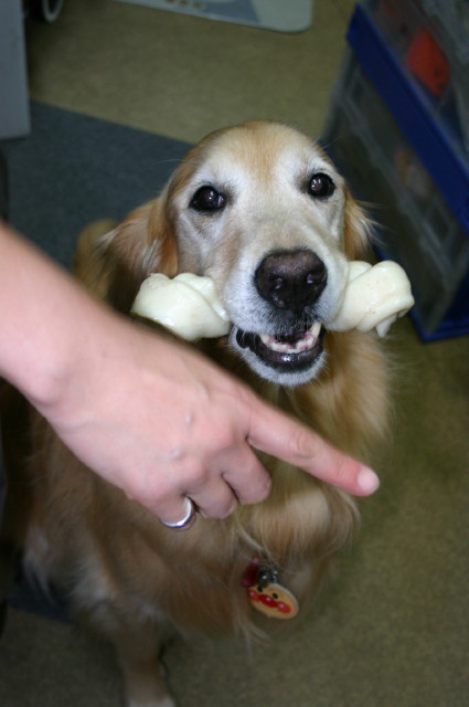 ファイル 219-5.jpg