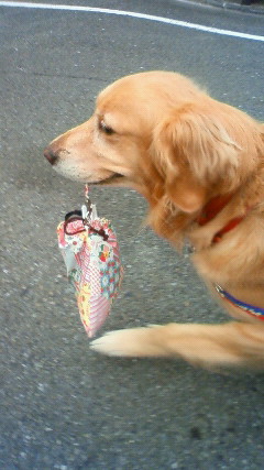 ファイル 2191-1.jpg