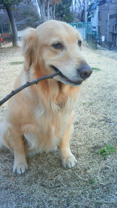 ファイル 2191-3.jpg