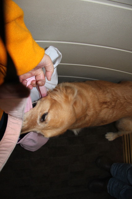 ファイル 2191-4.jpg