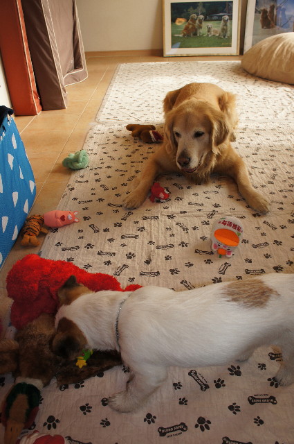 ファイル 2193-5.jpg