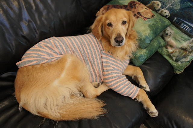 ファイル 2197-2.jpg