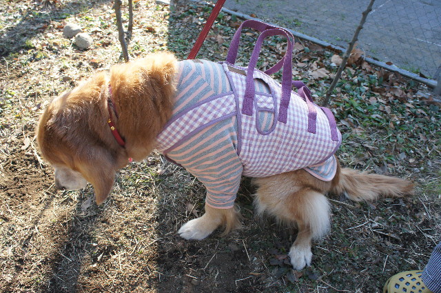 ファイル 2198-2.jpg